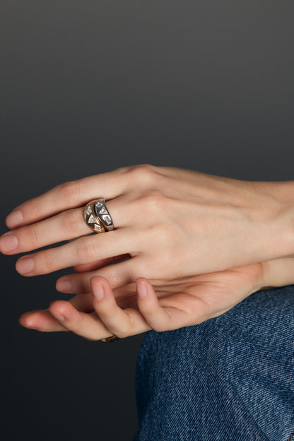 CLUSTER I Ring