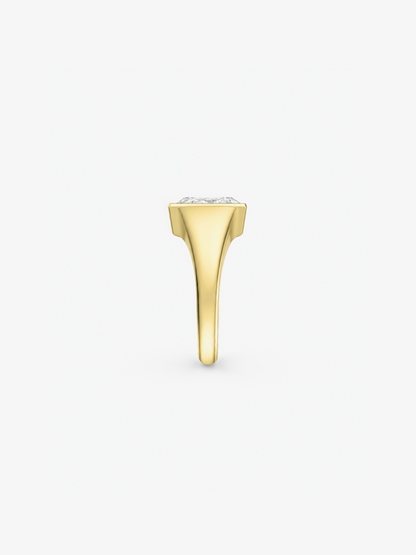 CRISS SIGNET