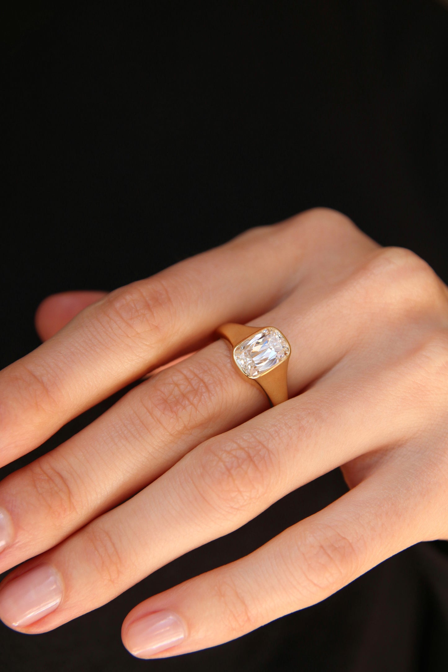 CRISS SIGNET